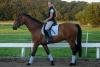Reiten-Kristin-II-09-2004-001
