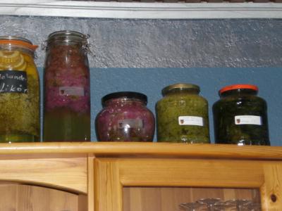 Mazerat-von-der-Rose