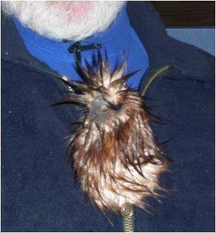 nass-aber-gut-betreut