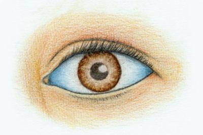 auge