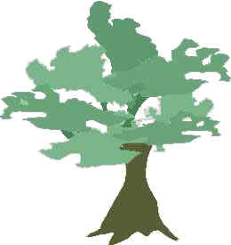 baum-kopie