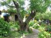 WandertagIMG_3682