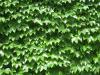 WandertagIMG_3694