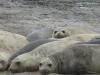 homepageImg0481