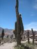 homepageImg0860