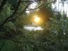 homepageImg1468