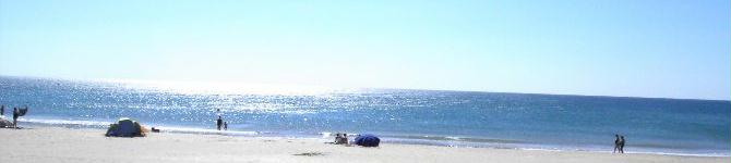 header