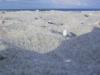 Strand bei Falshöft