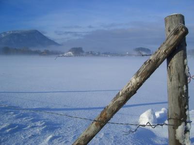 Schnee