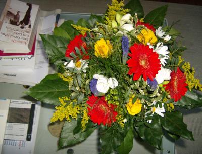 Heikos-Blumen-1-