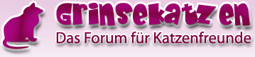 grinsekatzen-banner