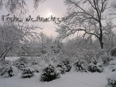 weihnachtsgruss05