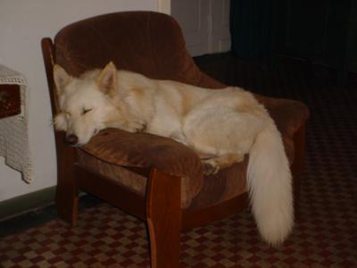 zzzzh