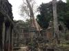 Angkor5