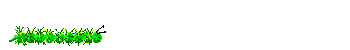 raupe