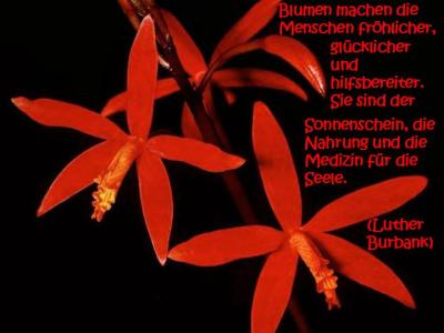spruch-10-7-