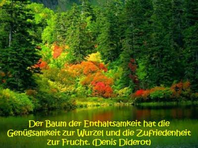 spruch-3-7-