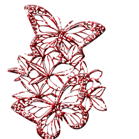 schmetterling1