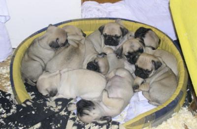 Babys_im_K_rbchen_HP