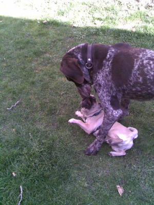 Bild059