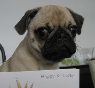 Happy-Birthday