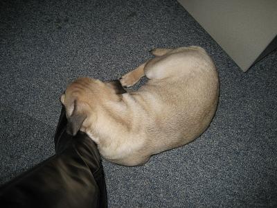 IMG_4163_k