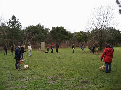 IMG_4378_k