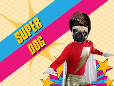 poster-super-dog