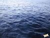 wasser4