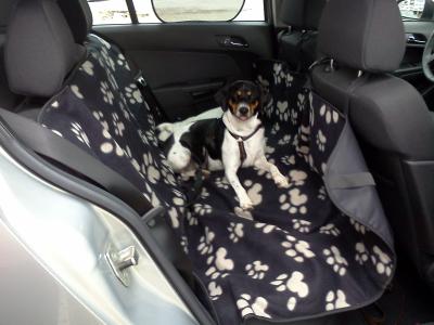 Meine Auto-Lounge Meine Auto-Lounge