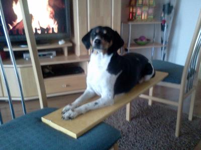 Dieses Kunststueck macht sie zu gerne Dieses Kunststueck macht sie zu gerne