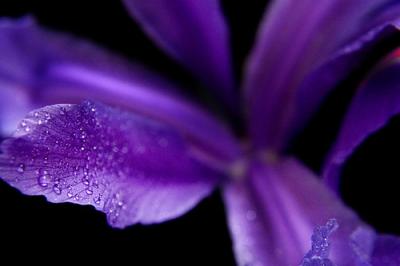 363533063_f288fd0e2c