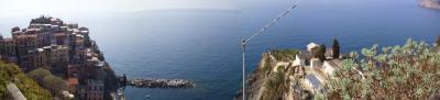 Manarola von oben