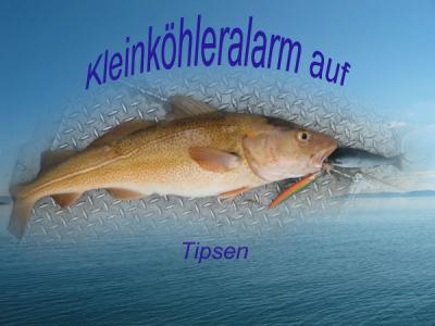 Tipsen-Kopie