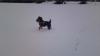 1-schnee10