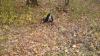 Auspillern1