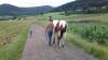 Bild-351