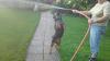 Bild-376