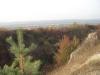 Oslip: Blick vom Ruster HÜgel zum Leithagebirge