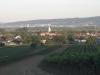 Oslip-mit-Eisenstadt-im-Hintergrund