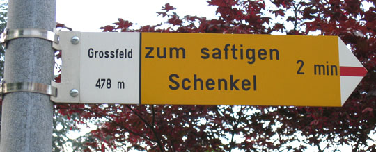 schenkel