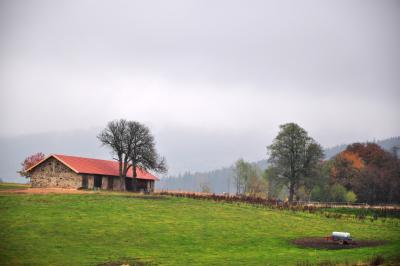 114-Sesselfabrik-Abriss-2-red