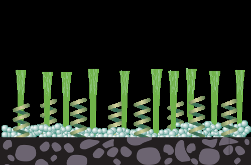 800px-Modernartificialgrass2German-svg