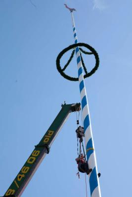 Q_Maibaum_MG_6816