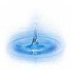 images-31