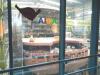 2012_MeyerWerft_025_small