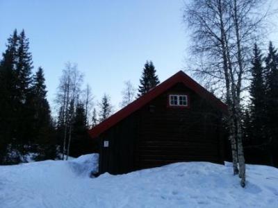 2013-03-22_Myrseter-1-_web