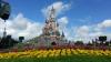 2013_Paris_SaschaHandy-8-