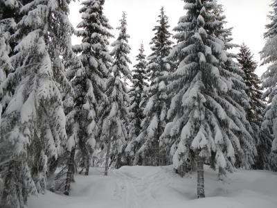 Hovdehytta_143
