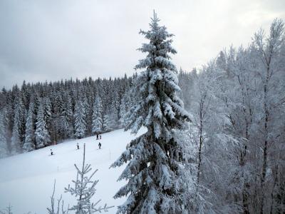 Tryvann_004-mod